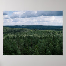 Luchtgroen Noordse Bos Landschapsfotografie