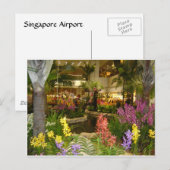 Luchthaven Singapore Changi Briefkaart (Voorkant / Achterkant)