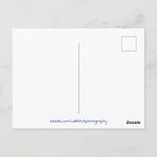 Luchthavenvlucht Briefkaart (Achterkant)