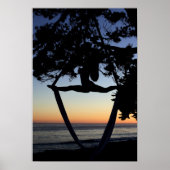 Luchtkogels op zonsondertoon poster (Voorkant)