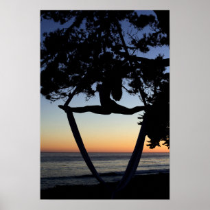 Luchtkogels op zonsondertoon poster