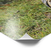 Luchtmacht kruipt door een nat veld foto afdruk (Hoek)