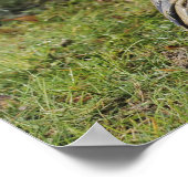 Luchtmacht kruipt door een nat veld poster (Hoek)