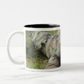 Luchtmacht kruipt door een nat veld tweekleurige koffiemok (Links)