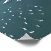 Luchtruim van Boston Skyline Poster (Hoek)