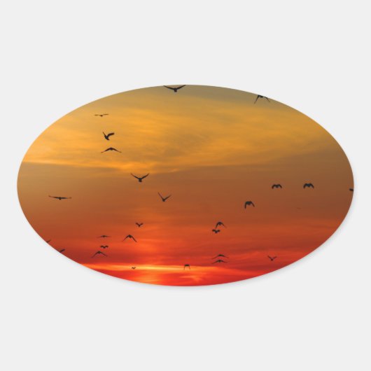 Luchtruim, zonsondergang, vogels, mooie foto ovale sticker (Voorkant)
