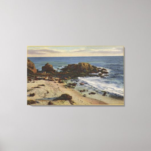Luchtvaart rond de Rocky Coast Canvas Afdruk (Voorkant)