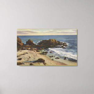 Luchtvaart rond de Rocky Coast Canvas Afdruk