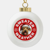 Luchtvaart Terrier Sweater Weer Keramische Bal Ornament (Voorkant)