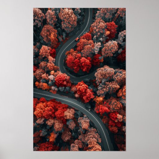 Luchtvaart Uitzicht van kronkelende weg door rode Poster (Voorkant)