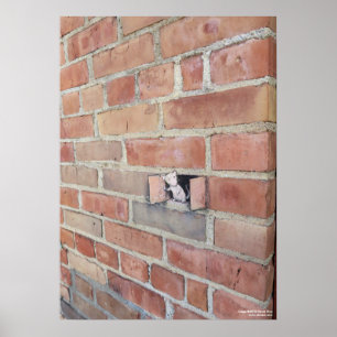 Luchtvaartdag Poster