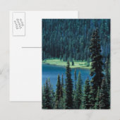 Luchtvaartpark van Grand Teton National uitzicht, Briefkaart (Voorkant / Achterkant)