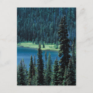 Luchtvaartpark van Grand Teton National uitzicht, Briefkaart