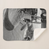 Luchtvaartpictogram Sherpa Deken (Voorkant (horizontaal))