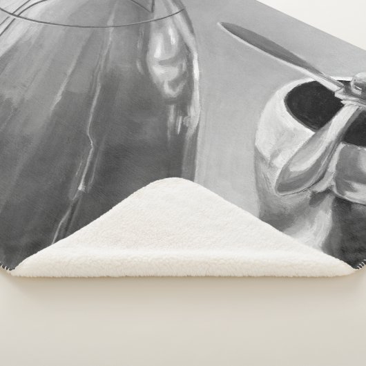 Luchtvaartpictogram: Up-Close-Uitzicht Sherpa Deken (3/4)