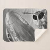 Luchtvaartpictogram: Up-Close-Uitzicht Sherpa Deken (Voorkant (horizontaal))