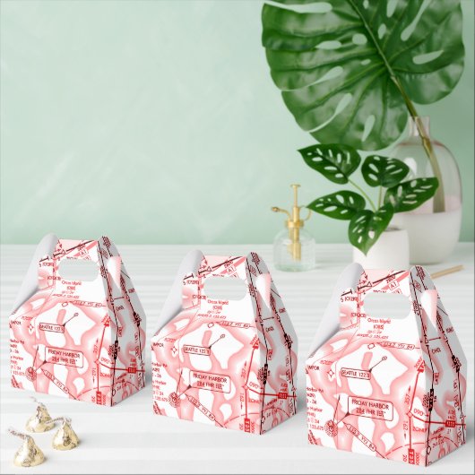 Luchtvaartschema Bedankdoosjes (Meervoudige)