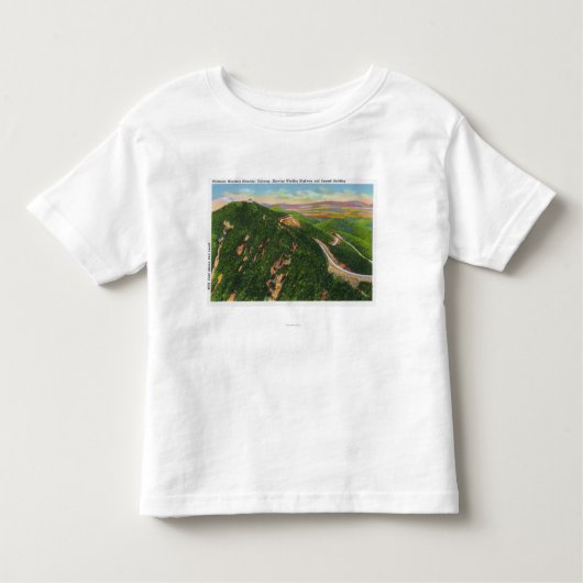LuchtvaartsUitzicht van Winding Hwy en Summit Bldg Kinder Shirts (Voorkant)