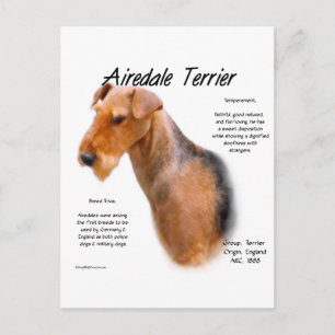 Luchtvaartterrier Geschiedenis Briefkaart