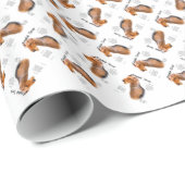 Luchtvaartterrier Geschiedenis Cadeaupapier (Rol Hoek)