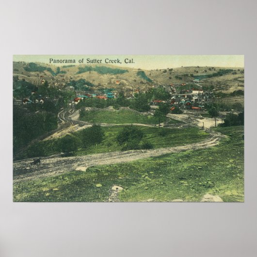 LuchtvaartUitzicht van CitySutter Creek, CA Poster (Voorkant)