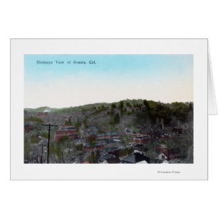 LuchtvaartUitzicht van de stad Sonora, CA