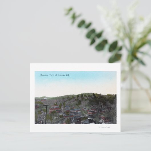 LuchtvaartUitzicht van de stad Sonora, CA Briefkaart (Staand voorkant)