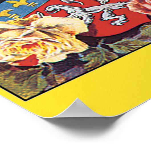 luchtvaartweek in Lyon Frankrijk Poster (Hoek)