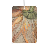 Luchtverfrisser (Voorkant)