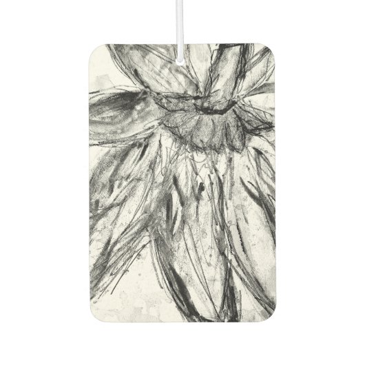 Luchtverfrisser (Voorkant)