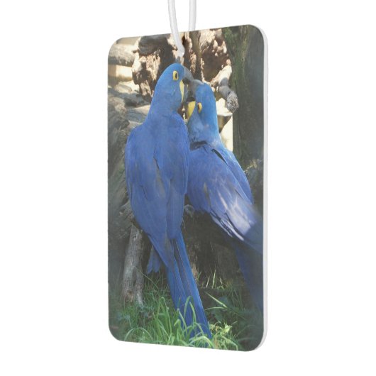 Luchtverfrisser _ Papegaaien (Links)