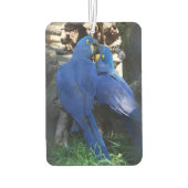 Luchtverfrisser _ Papegaaien (Achterkant)