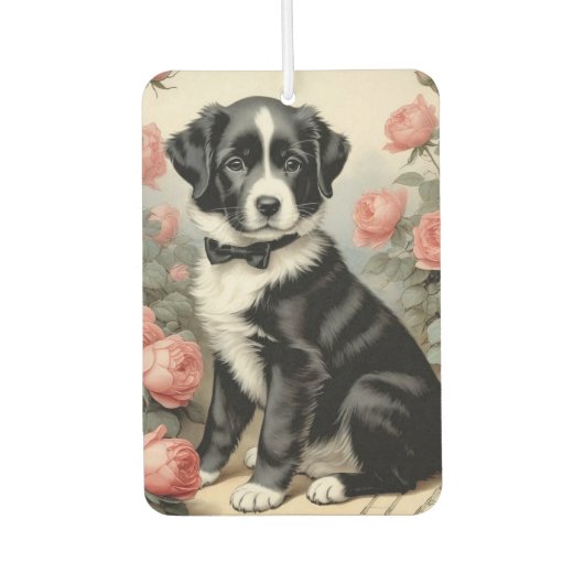 Luchtverfrisser voor auto's (Voorkant)