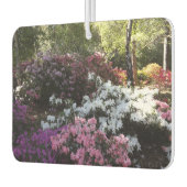 luchtverfrisser voor bossen (Links)