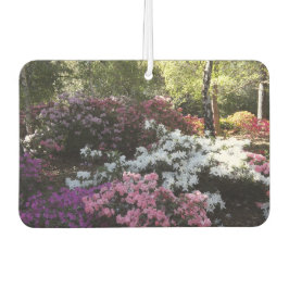 luchtverfrisser voor bossen