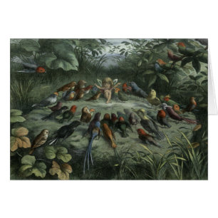 - luchtvogels, zangvogels;