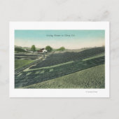 Luchtwater Uitzicht van snoepjes die in de zon dro Briefkaart (Voorkant)