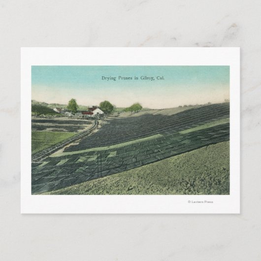 Luchtwater Uitzicht van snoepjes die in de zon dro Briefkaart (Voorkant)