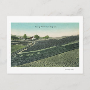 Luchtwater Uitzicht van snoepjes die in de zon dro Briefkaart