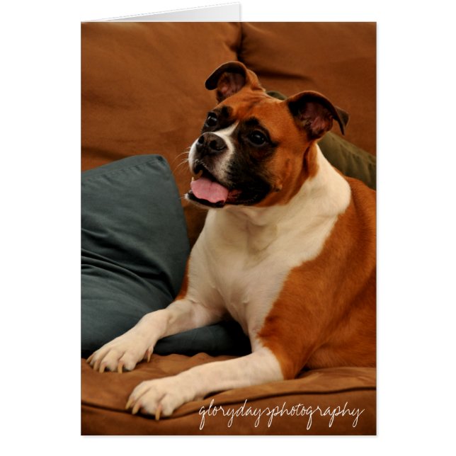 Lucie Monroe (Voorkant)