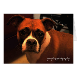 Lucie Monroe-portret