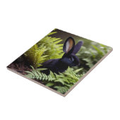 Lucifer de zwarte konijn: een donkere bundel onhei tegeltje (Zijkant)