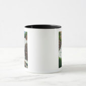 Lucifer Herfsten Uitzicht in de deelstaat Robert H Mok (Midden)