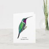 Lucifer Hummingbird Bedankkaart (Voorkant)