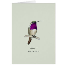 Lucifer Hummingbird Happy Birthday Kaart