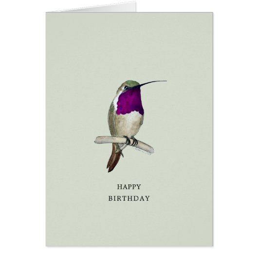 Lucifer Hummingbird Happy Birthday Kaart (Voorkant)