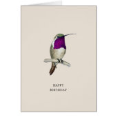 Lucifer Hummingbird Happy Birthday Kaart (Voorkant)