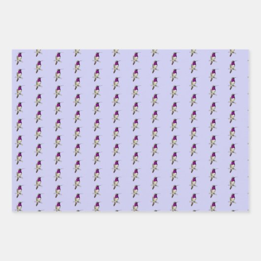 Lucifer Hummingbird Pattern Wrapping Paper Sheets (Voorkant 3)