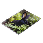 Lucifer The Black Little Bunny, Notitieboek (Linkerzijde)