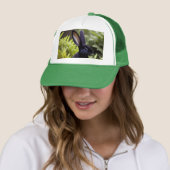 Lucifer The Black Little Bunny, Truckers Pet (In situ)